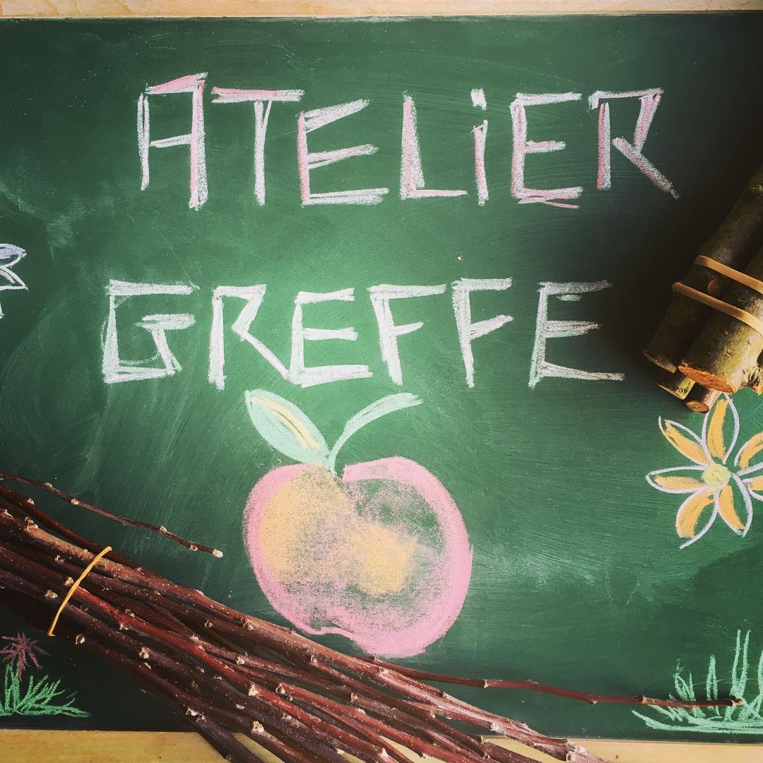 atelier greffe panneau Maison paulette